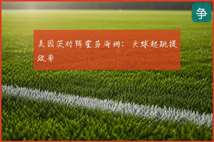 美因茨对阵霍芬海姆:头球起跳提效率