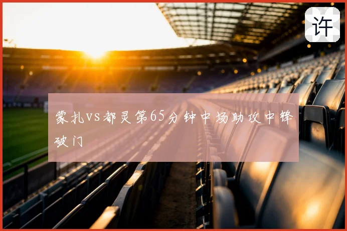 蒙扎vs都灵第65分钟中场助攻中锋破门